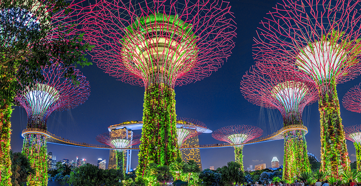 Gardens By The Bay Panorama